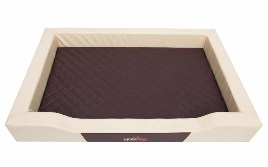 hondenkussen Bulterriër(11)