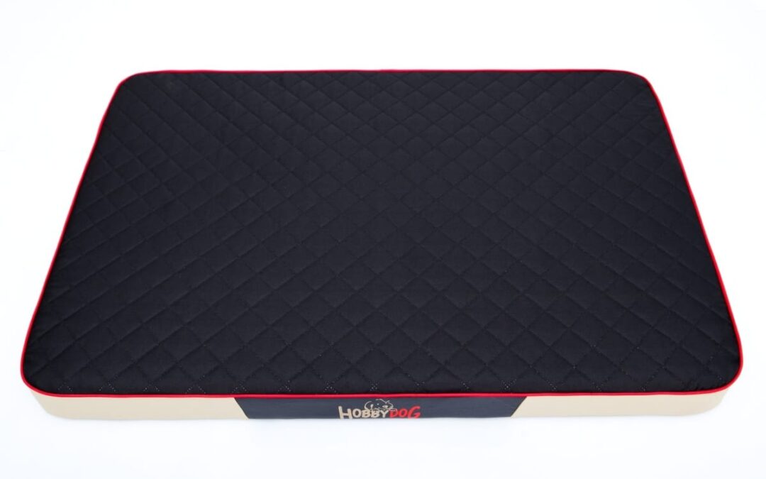 hondenkussen boxer (2)