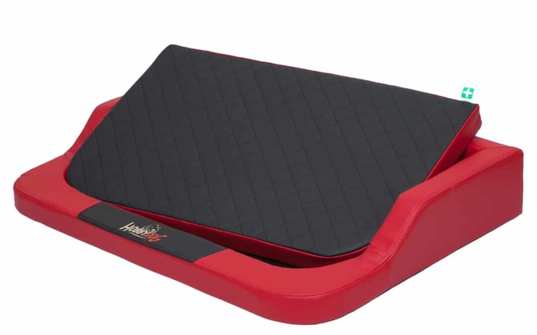 hondenkussen boxer (4)