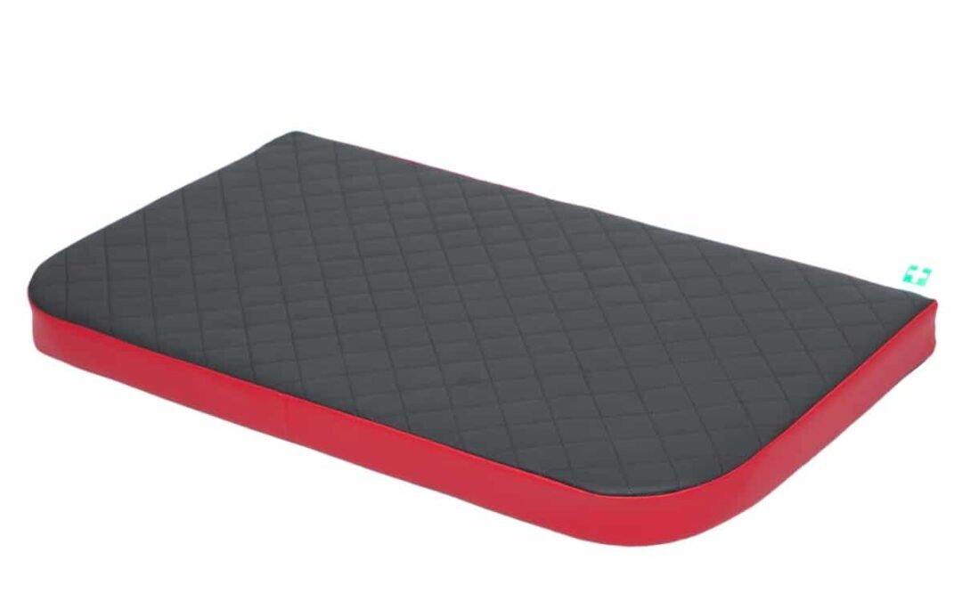 hondenkussen boxer (7)