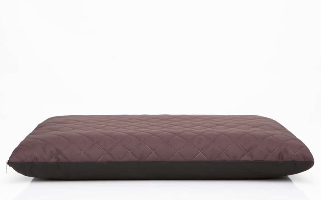 hondenkussen labrador retriever (1)