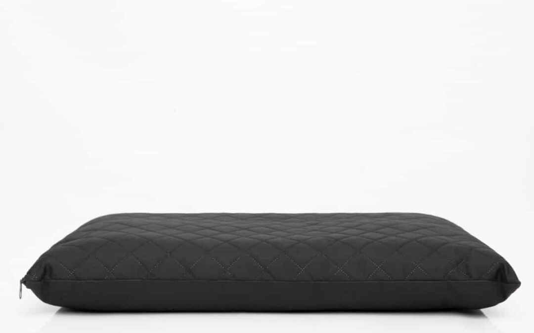 hondenkussen labrador retriever (4)