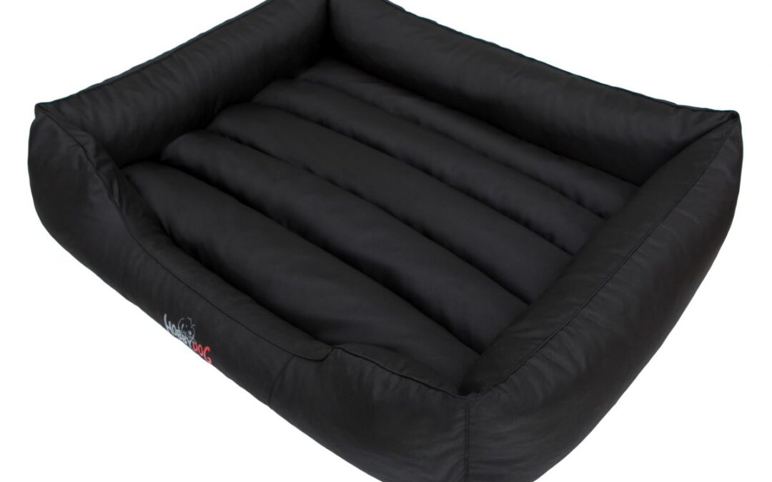 hondenkussen voor buldog (5)