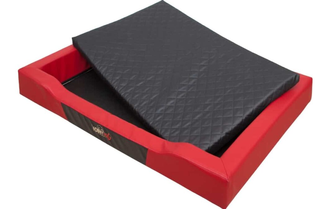 hondenman chow chow (2)