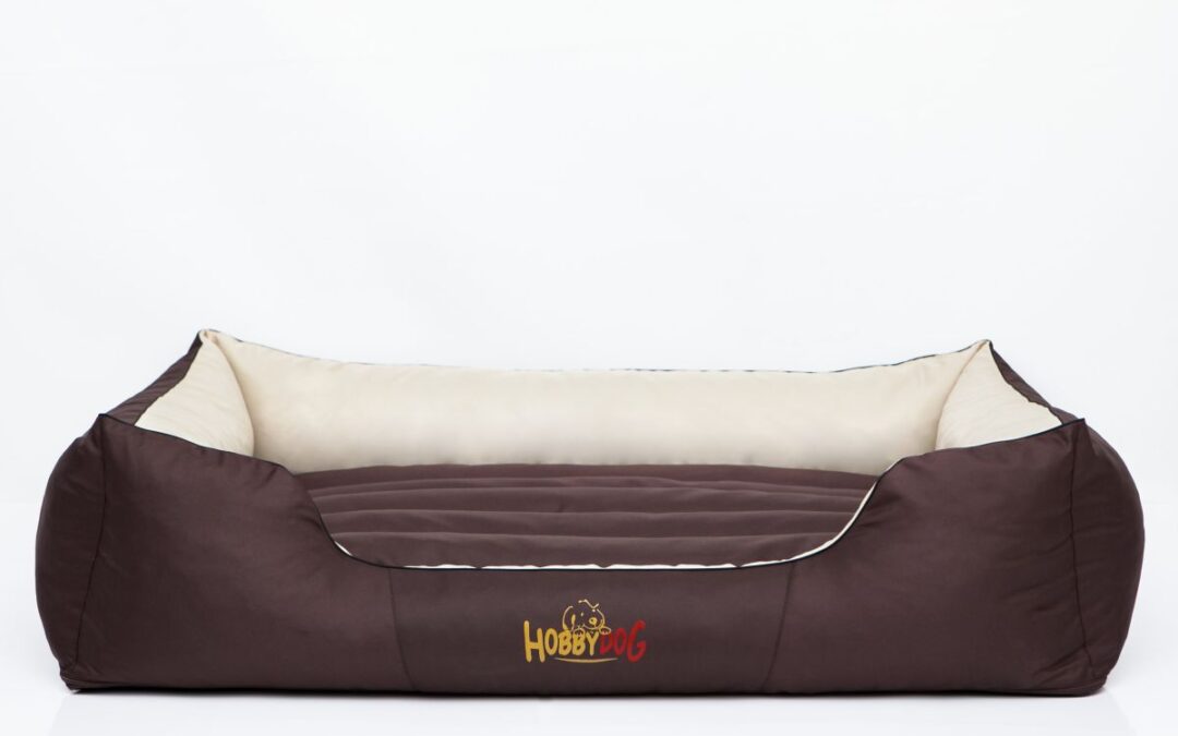 hondenmand Border terriër (1)