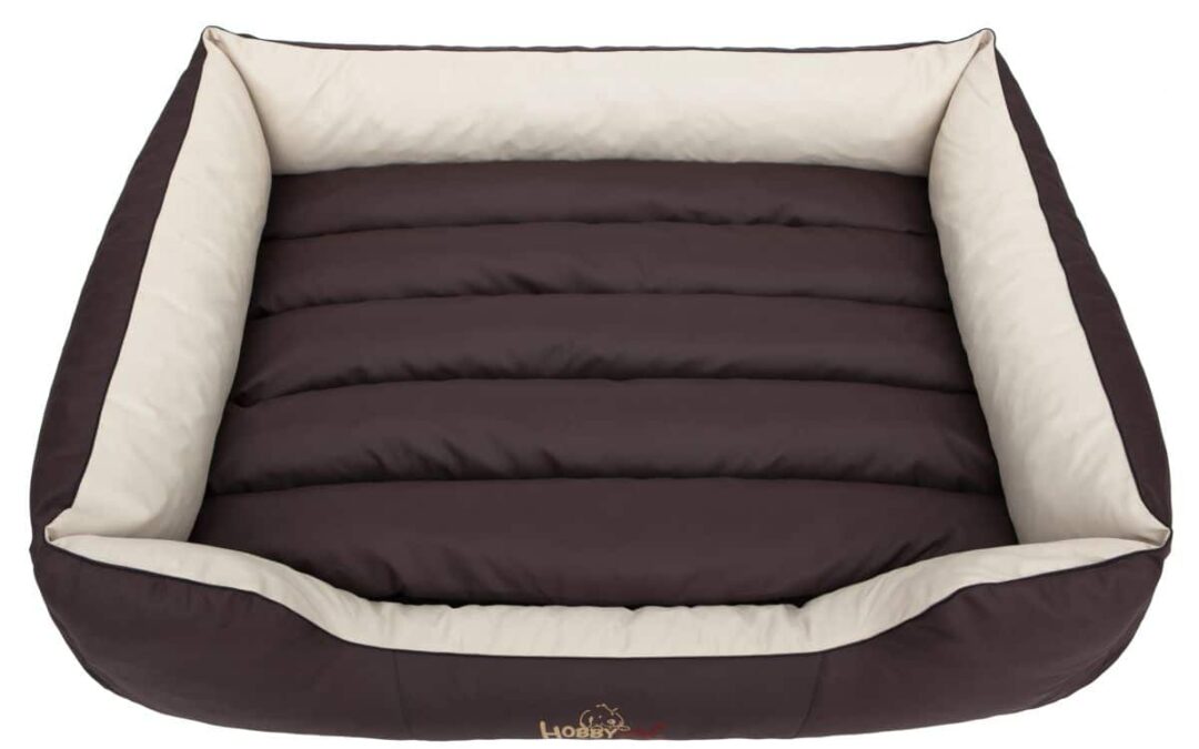 hondenmand Border terriër (2)