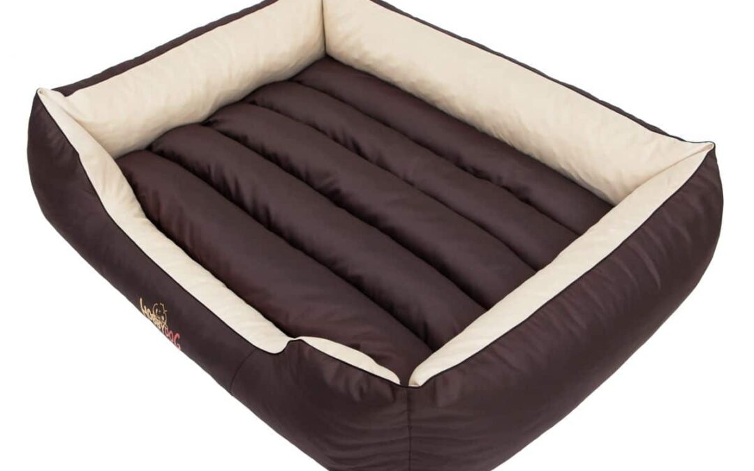 hondenmand Border terriër (3)