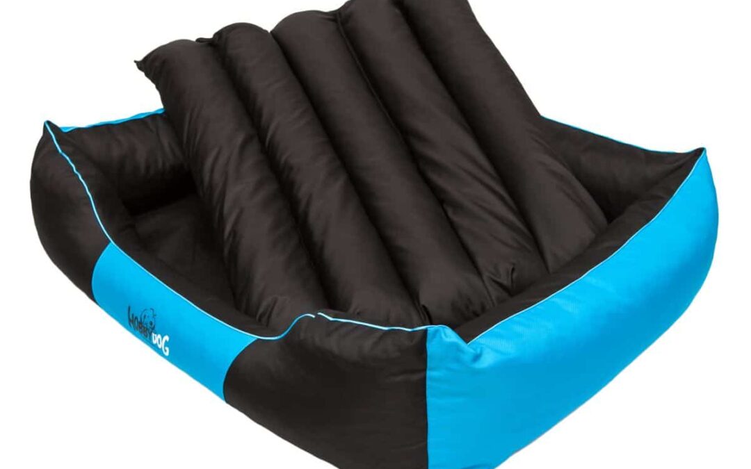 hondenmand Mopshond (4)