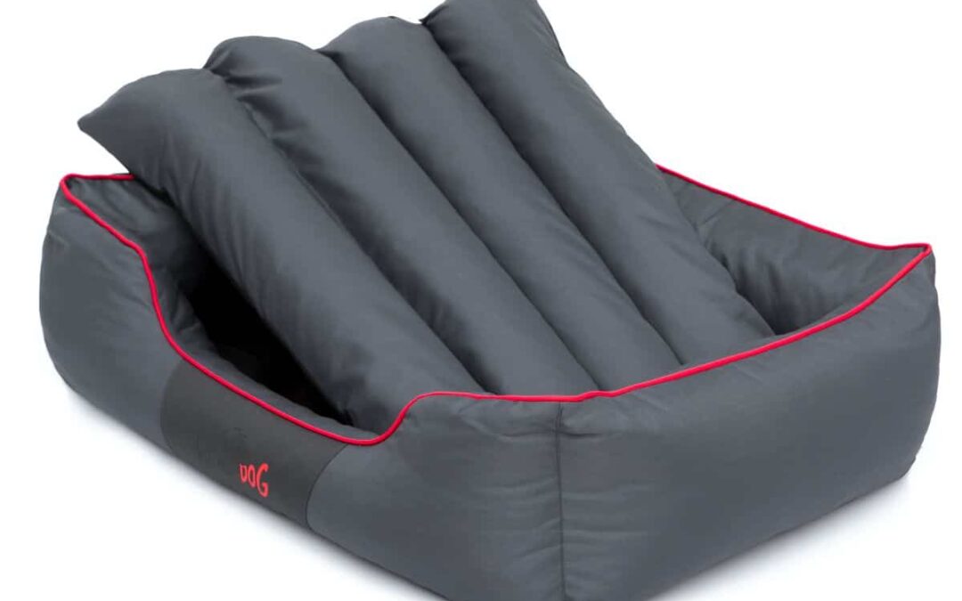 hondenmand maltezer (4)