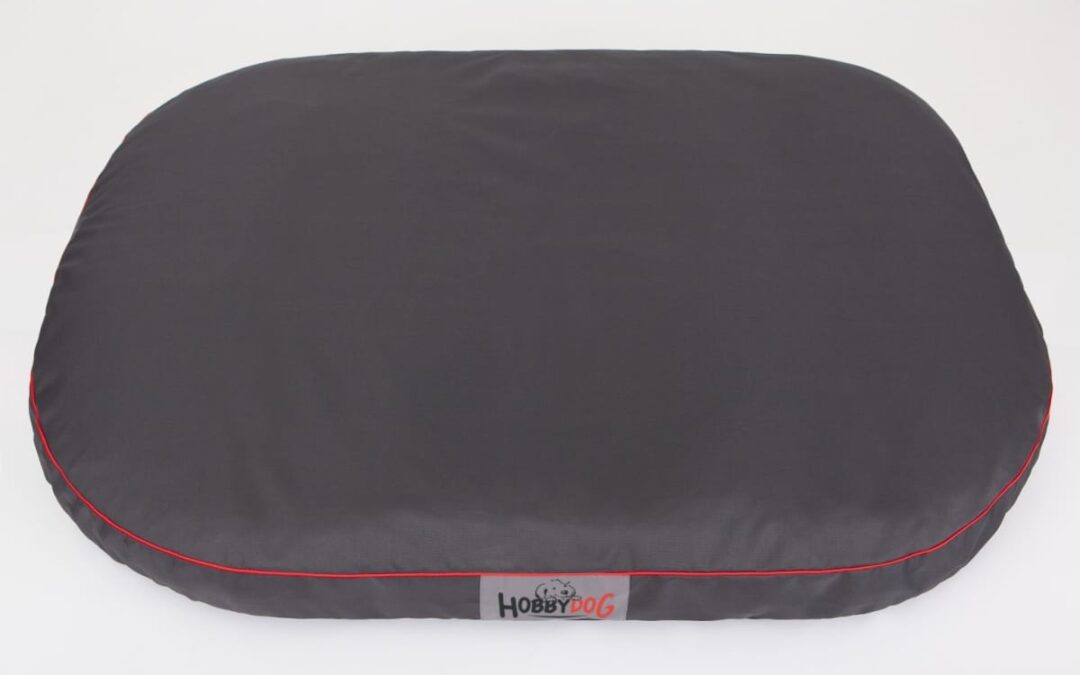 hondenmand rottwieler (2)