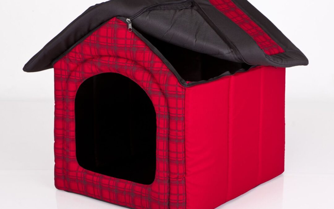 hondenmand bulterier (4)