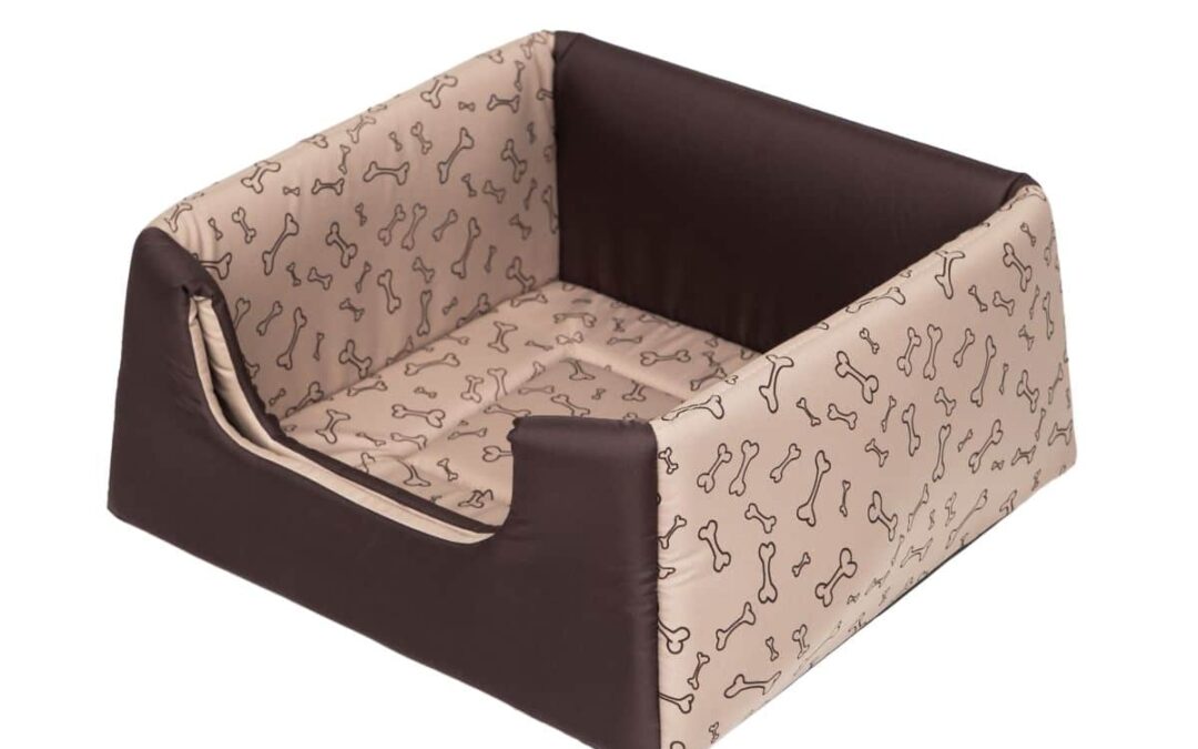 kussen voor Petit basset griffon vendéen (3)
