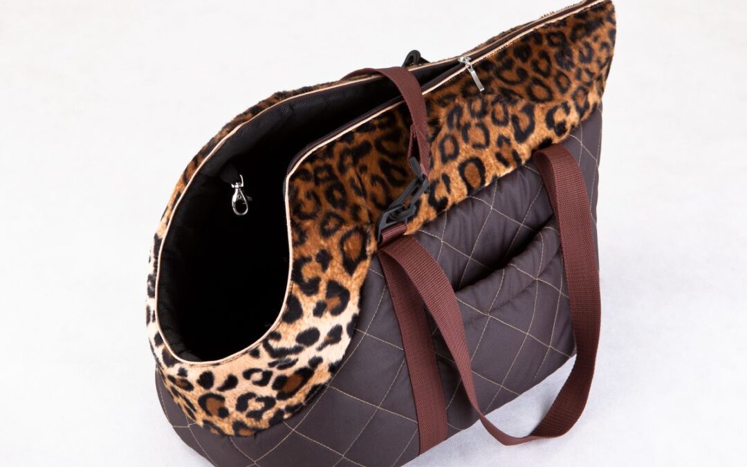 transporter voor huisdier (5)