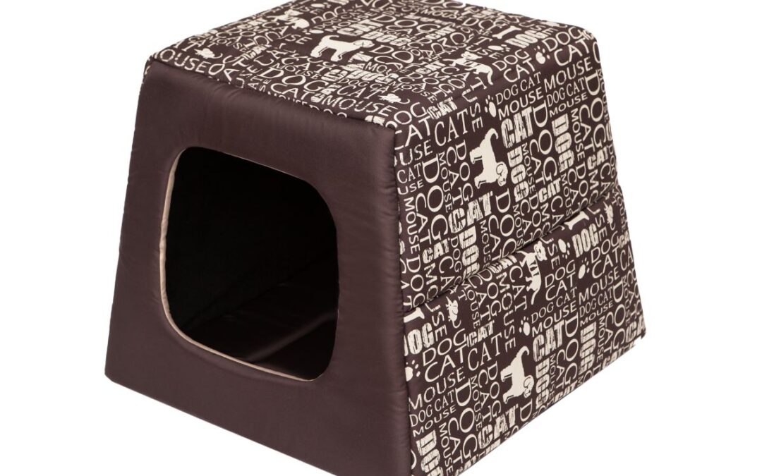 mand voor Jackrussellterriër (5)