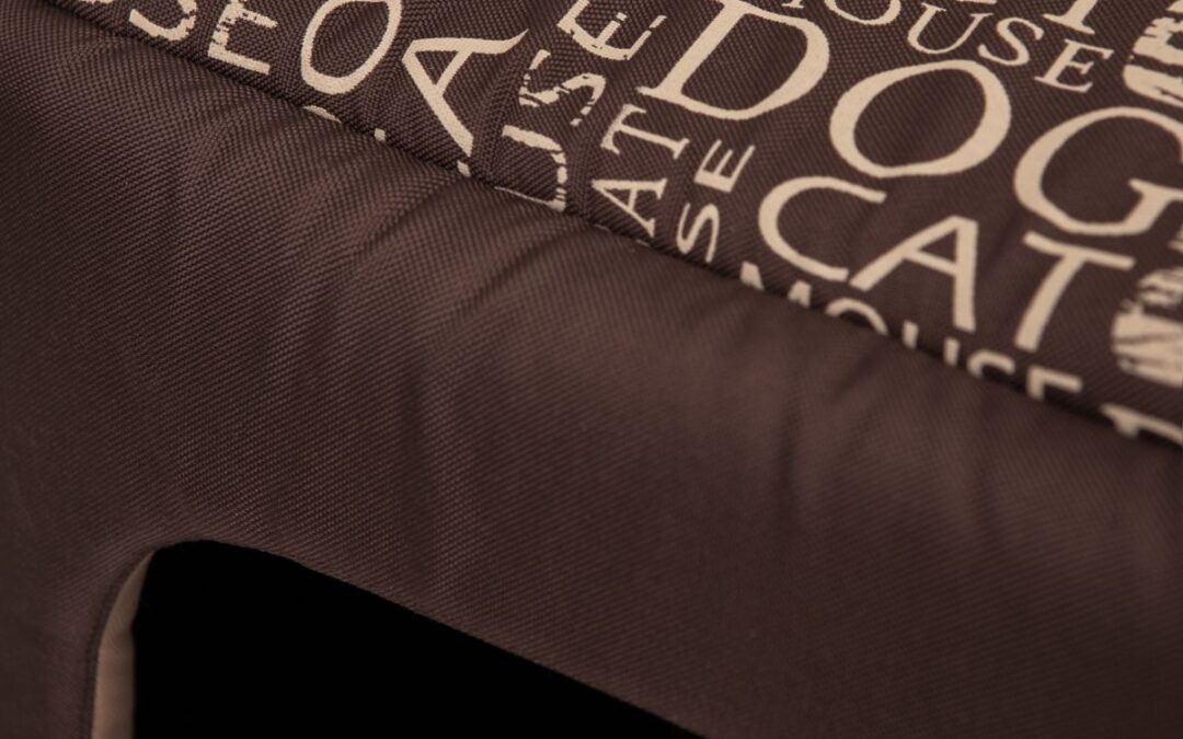 mand voor Jackrussellterriër (7)