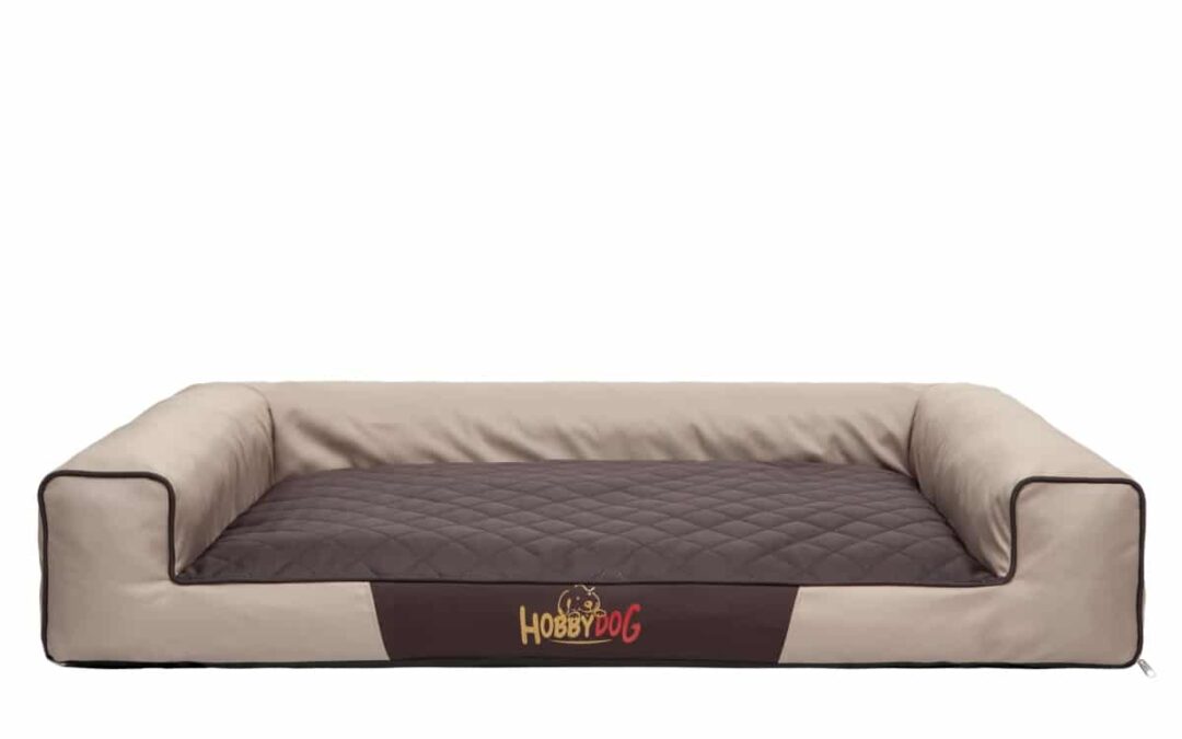 dog bed for Samojeed