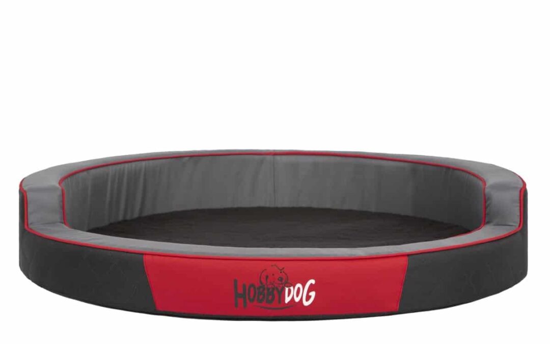 hondenkissen voor Bichon frisé (1)