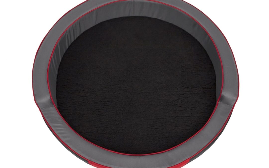 hondenkissen voor Bichon frisé (2)