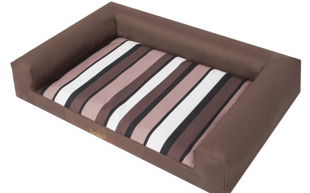 hondenkussen voor Briquet Griffon Vendéen (3)