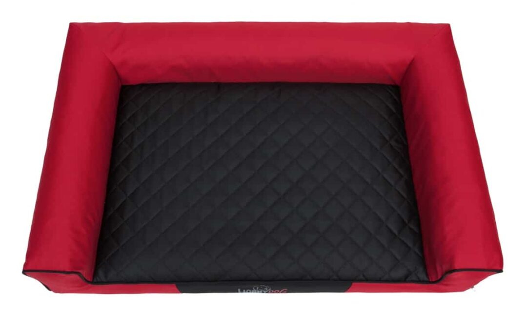 hondenmand voor Engelse springerspaniël (2)