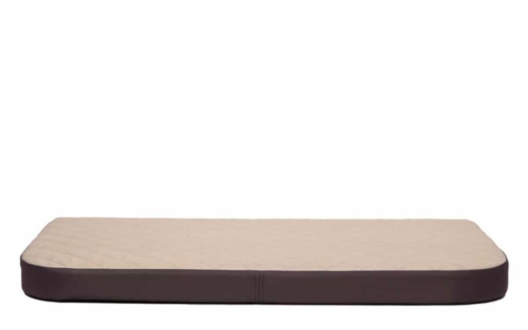 hondekussen Bulterriër (6)