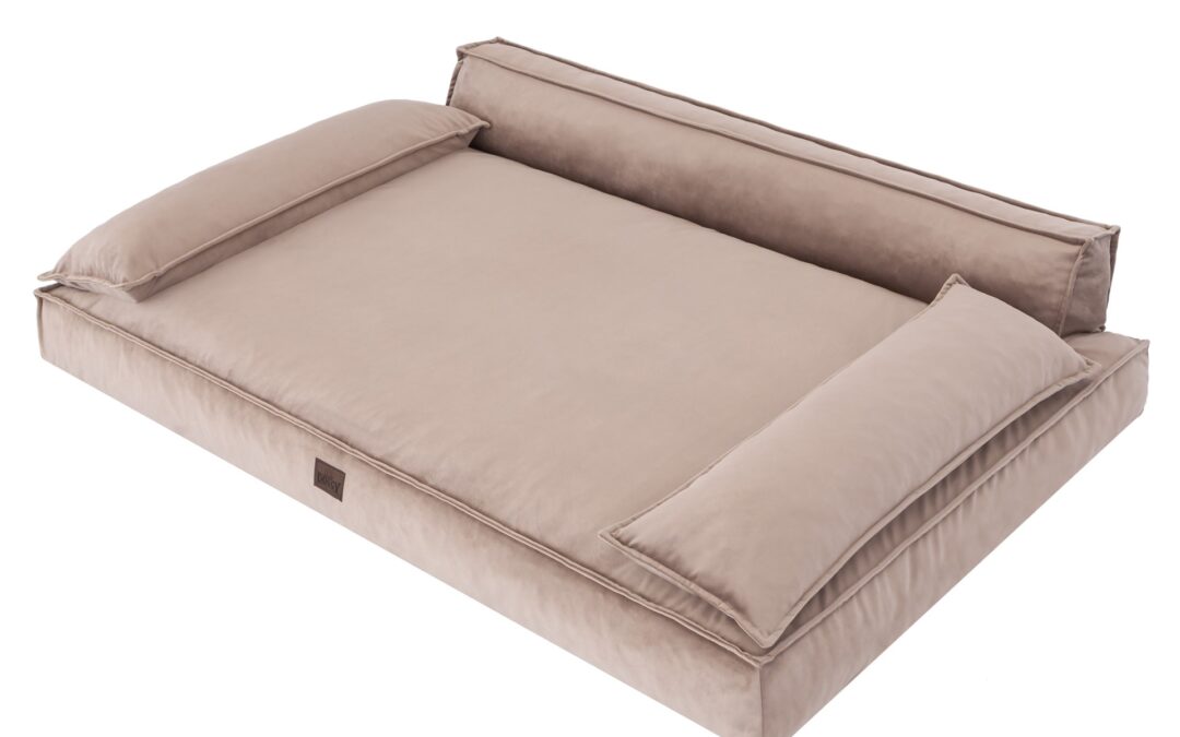 hondenmand voor Mastino napoletano