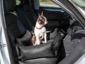 autostoel voor hond