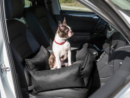 autostoel voor hond