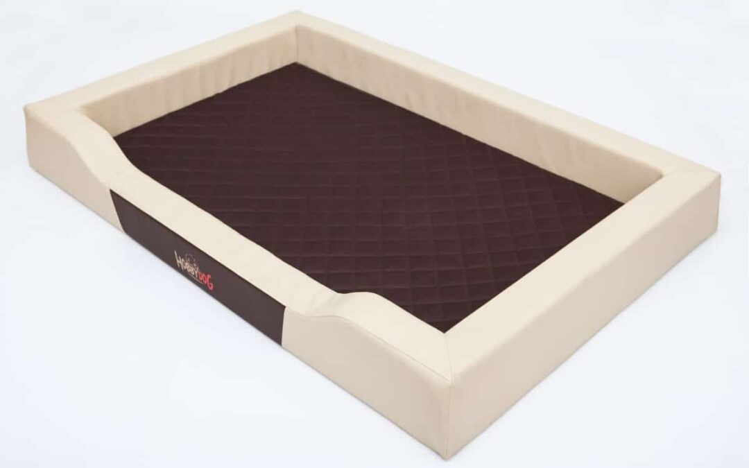 dog bed for French Bulldog