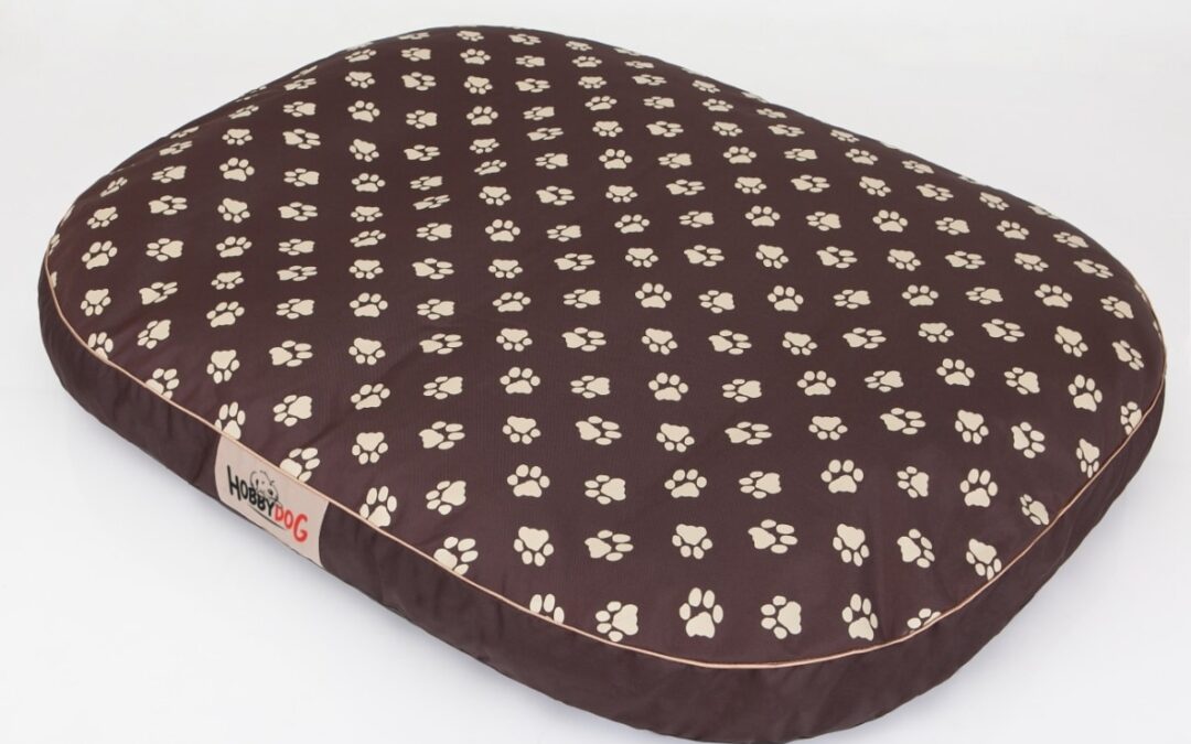 dog bed for Basset hound